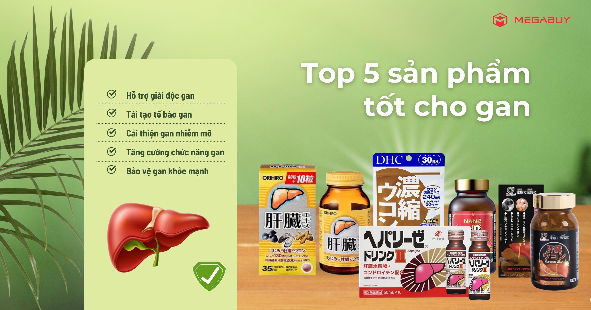 goi-y-5-thuc-pham-chuc-nang-nhat-ban-ho-tro-giai-doc-gan-hieu-qua